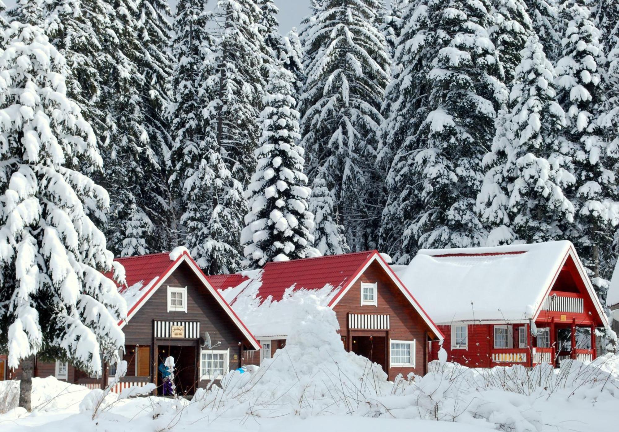 Alpine Ski Chalet Borovets With Sauna Exterior foto