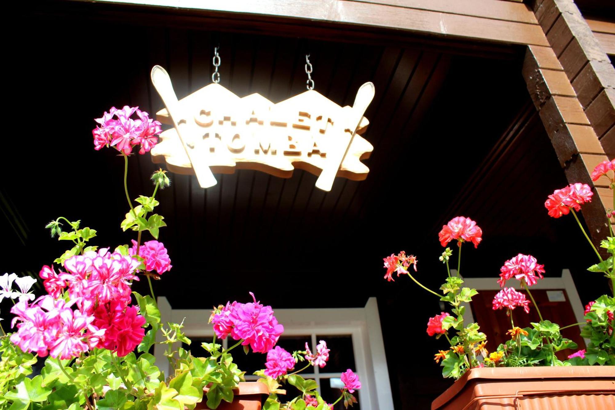 Alpine Ski Chalet Borovets With Sauna Exterior foto