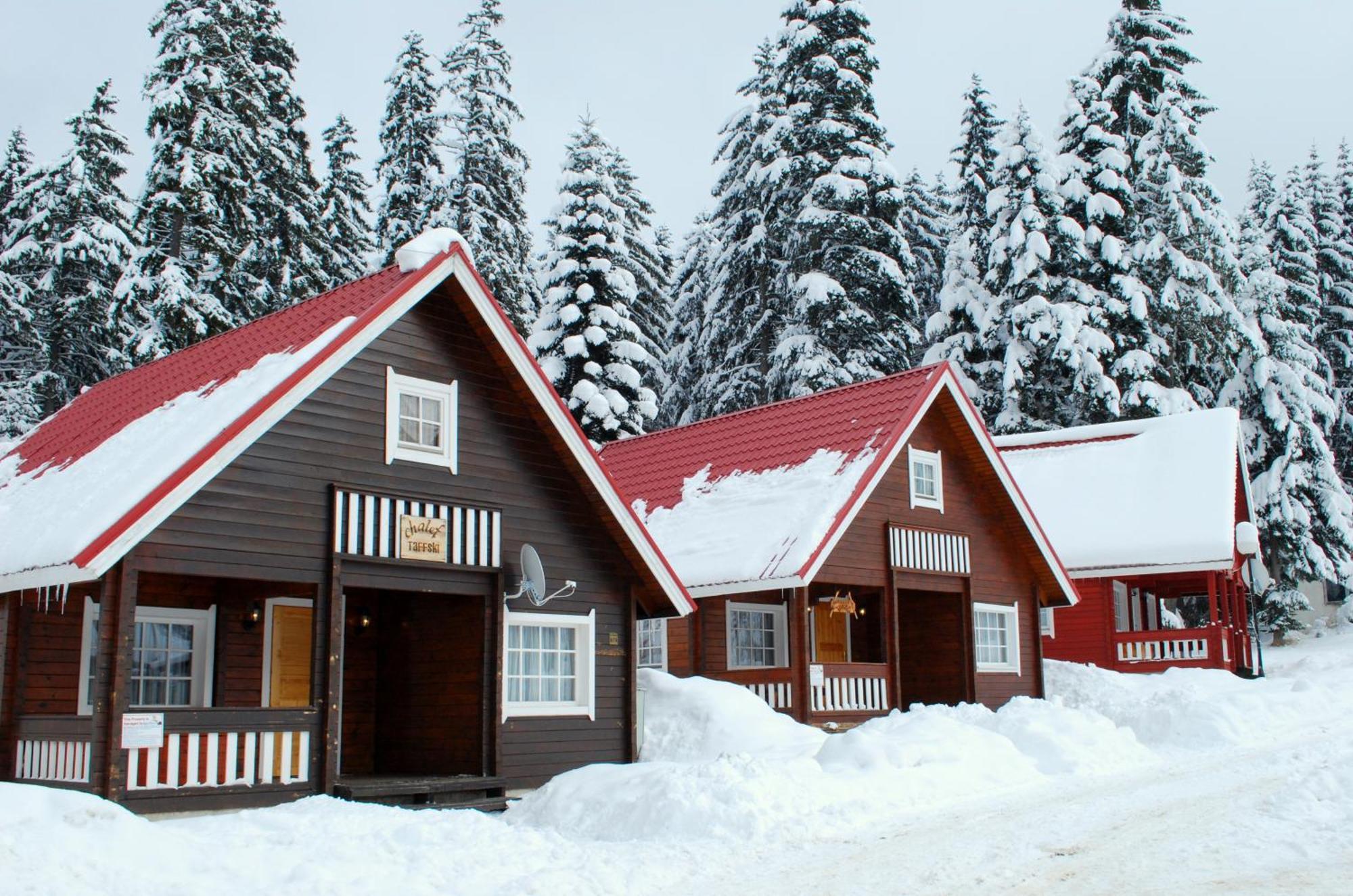 Villa Alpine Ski Chalet Borovets With Sauna Exterior foto