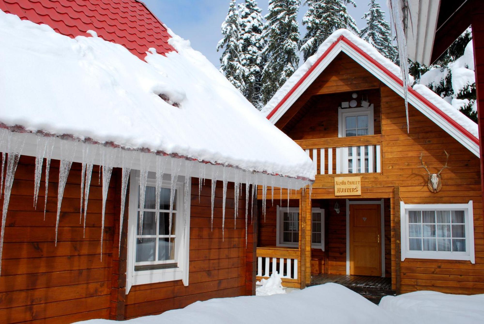 Alpine Ski Chalet Borovets With Sauna Zimmer foto